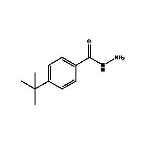 對叔丁基苯甲酰肼