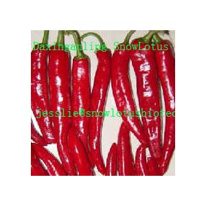 Capsicum annuum extract