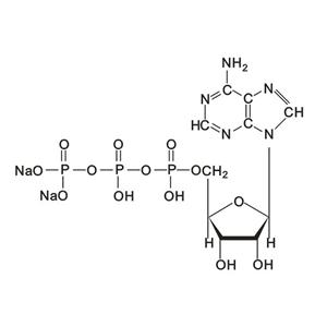 三磷酸腺苷二鈉