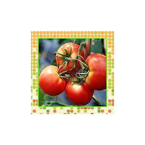 番茄紅素Lycopene，2%5%,6%,10%（西安瑞迪）