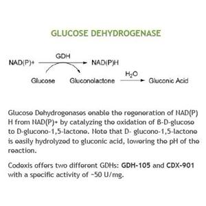 葡萄糖脫氫酶