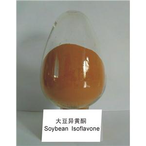 大豆提取物/40%大豆異黃酮Soybean Isoflavones