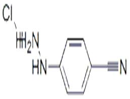 4-氰基苯肼.鹽酸鹽