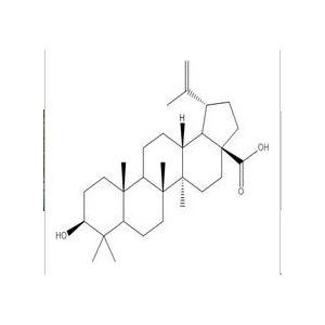 白樺脂酸 98%