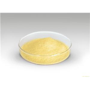 咖啡酸|3,4-Dihydroxycinnamic acid