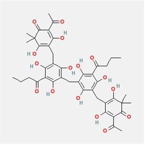 白綿馬素ABBA,東北貫眾素