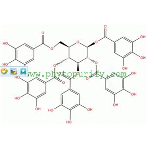 1,2,3,4,6-O-五沒(méi)食子酰葡萄糖