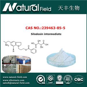 5-[(2R)-2-Aminopropyl]-1-[3-(benzoyloxy)propyl]-2,3-dihydro-1H-indole-7-carbonitrile (2R,3R)-2,3-dihydroxybutanedioate