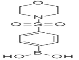 4-(嗎啉磺?；?苯硼酸