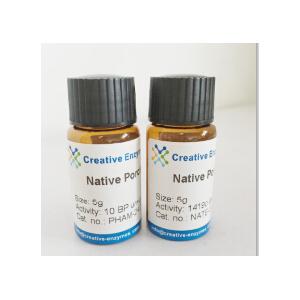 Native Microorganism Creatine Amidinohydrolase