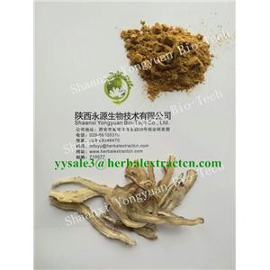 當(dāng)歸提取物 Dong Quai Root P.E., Angelicae Extract CAS號(hào)：4431-01-0 陜西永源生物