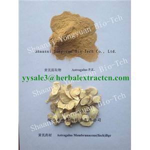 黃芪提取物 Astragalus Extract 陜西永源生物 黃芪多糖