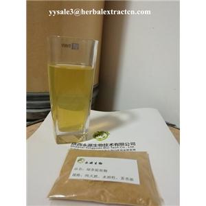 水溶性天然綠茶提取物 Water soluble natural green tea Extract 陜西永源生物