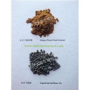 女貞子提取物  Fructus Ligustri Lucidi Extract 滋補(bǔ)肝腎，明目烏發(fā)  陜西永源生物