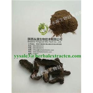 生地提取物， 生地黃提取物， Rehmannia Root Extract， 陜西永源生物