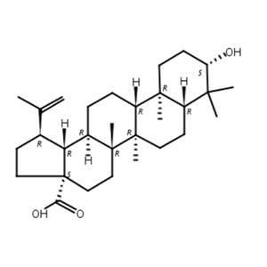 白樺脂酸 CAS:472-15-1