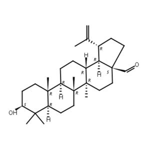 白樺脂醛 CAS:13159-28-9