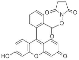 5(6)-羧基熒光素琥珀酰亞胺酯