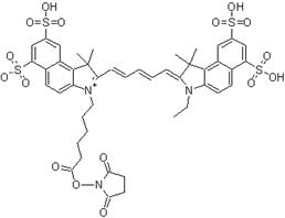 Cy5.5-N-羥基琥珀酰亞胺酯