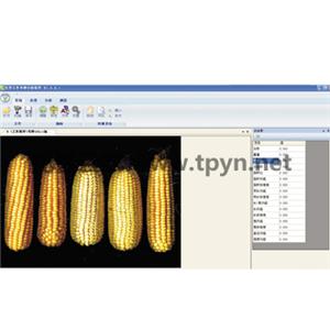 自動(dòng)種子考種分析及千粒重儀系統(tǒng)可以準(zhǔn)確預(yù)測玉米產(chǎn)量