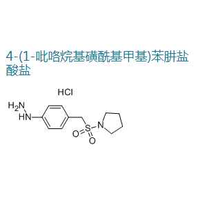 4-(1-吡咯烷基磺酰基甲基)苯肼鹽酸鹽