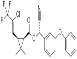 高效氯氟氰菊酯
