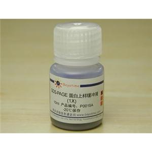SDS-PAGE蛋白上樣緩沖液(1X)