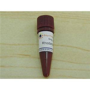 Rhodamine 123