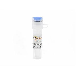Moclobemide (MAO抑制劑)