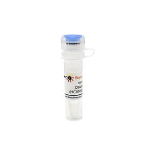 Daclatasvir (HCV NS5A抑制劑)