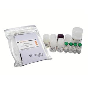 Human IL-4 ELISA Kit