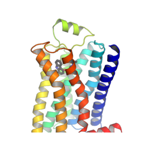 Cys-Protein G