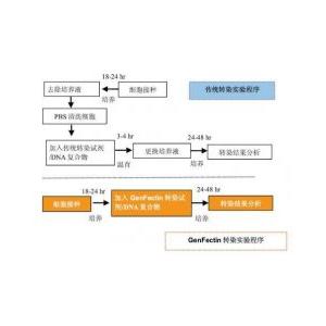 基因轉(zhuǎn)染試劑