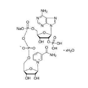 煙酰胺腺嘌呤二核苷酸磷酸（氧化型）