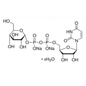 尿苷-5'一二磷酸葡萄糖二鈉鹽