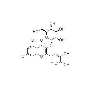 金絲桃苷；槲皮素-3-O-β-D-吡喃半乳糖苷