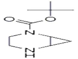 2,5-Diazabicyclo[4.1.0]heptane-2-carboxylic Acid DiMethylethyl Ester