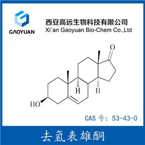 去氫表雄酮，脫氫表雄酮，DHEA