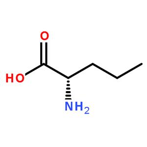 L-正纈氨酸