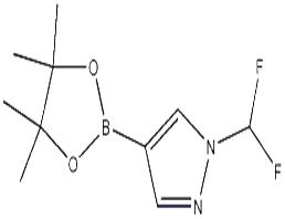 1-(二氟甲基)-4-(4,4,5,5-四甲基-1,3,2-二氧硼雜環(huán)戊烷-2-基)-1H-吡唑