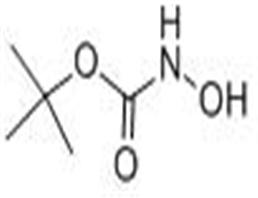 N-羥基氨基甲酸叔丁酯
