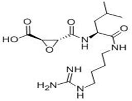 N-(反式-環(huán)氧丁二?；?-L-亮氨酸-4-胍基丁基酰胺