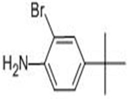 2-溴-4-叔丁基苯胺