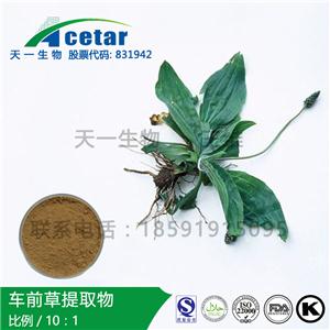 車前草取物，Asia Plantain Extract