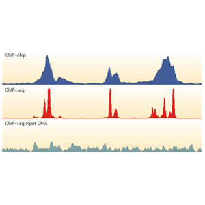 ChIP-Seq