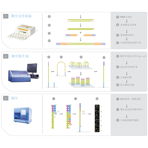 ChIP-Seq