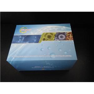 cGMP ELISA kit