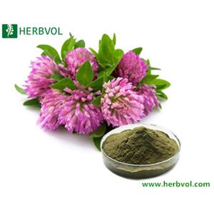 Red Clover Extract