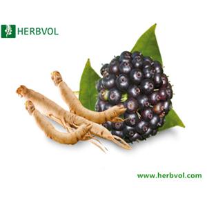 Siberian Ginseng Extract