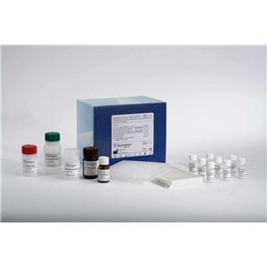 human free chorionic gonadotropin,f-βhCG ELISA KIT